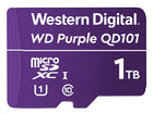 Western Digital WDD100T1P0C